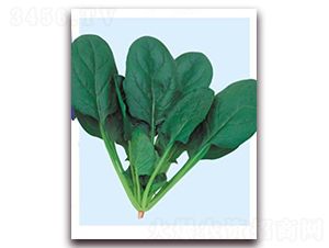 ����-21-���˷N��-�|������