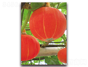 ����052-�ϹϷN��-�|������