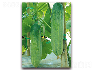 ����542-�S�ϷN��-�|������