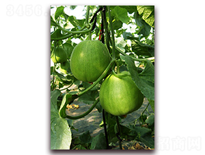 ��[�G��-��ϷN��-�|������