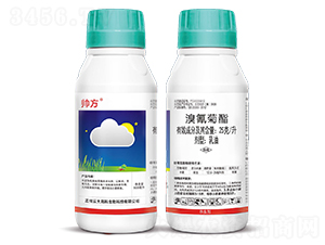 25��/���������-����-�ƴ�߿�