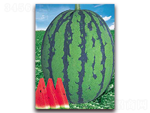 �|������-���ϷN��-�|������