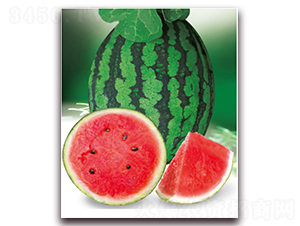 ����4K-���ϷN��-�|������