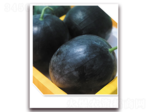 �P׿����̖-���ϷN��-�|������