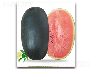 ���{��̖-���ϷN��-�|������