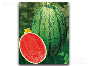 ����2K-���ϷN��-�|������