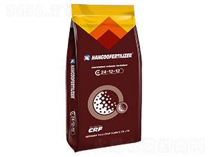 ��ጷ�24-12-12-�h��-�՘�����