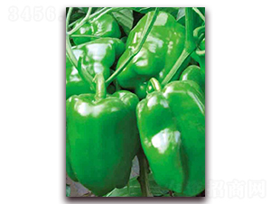 ����118-�����N��-�|������