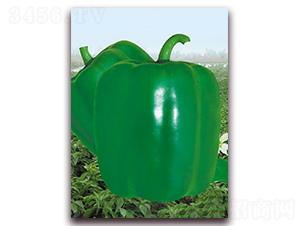 ����119-�����N��-�|������