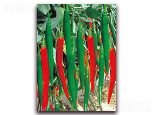 ��ϲһ̖(h��o)-�����N��-�|������