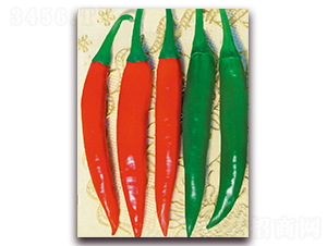 ��ϲ��̖(h��o)-�����N��-�|������