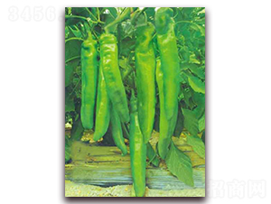 ������-�����N��-�|������