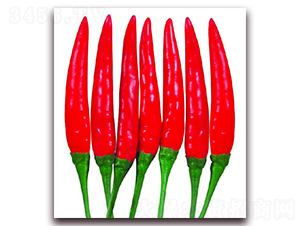 ����017-�����N��-�|������