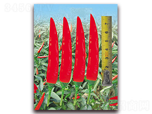 ����656-�����N��-�|������