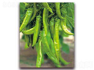 ����һ̖(h��o)-�����N��-�|������