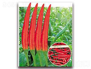 ������-�����N��-�|������