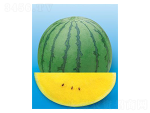 �½��m-���ϷN��-΢�ȷN�I(y��)