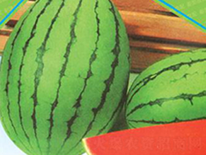 �紺�t��A8-���ϷN��-΢�ȷN�I(y��)