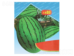 �紺�t��B8-���ϷN��-΢�ȷN�I(y��)