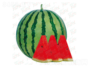 ����-���ϷN��-΢�ȷN�I(y��)