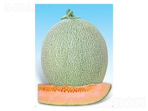 �t���ֶ�̖-��ϷN��-΢�ȷN�I(y��)