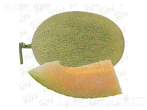 ��M-15017-��ϷN��-΢�ȷN�I(y��)