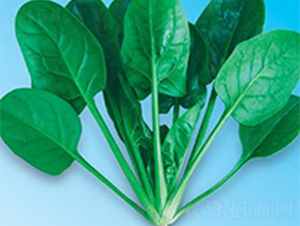 �G��(y��u)��7̖-���˷N��-΢�ȷN�I(y��)