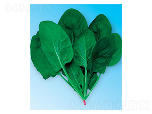 �G��(y��u)��3̖-���˷N��-΢�ȷN�I(y��)