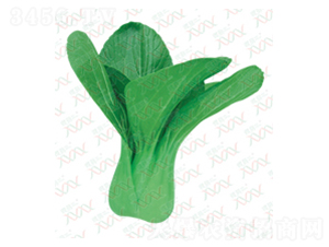 ���G�����๣��-��˷N��-΢�ȷN�I(y��)