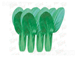 ���G�ٳ��uë��-��˷N��-΢�ȷN�I(y��)