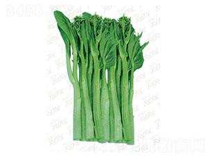 �����d����-��˷N��-΢�ȷN�I(y��)