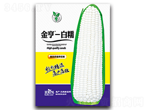 ����Ŵ-���׷N��-���ѩ��