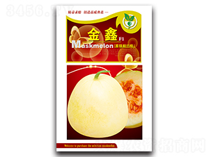 ����-��ϷN��-���ѩ��