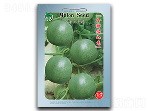 ���ƾG����-��ϷN��-���ѩ��