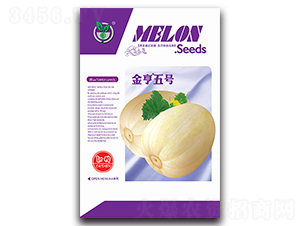 �����̖-��ϷN��-���ѩ��