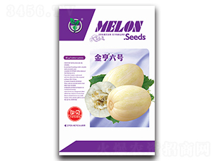 �����̖-��ϷN��-���ѩ��