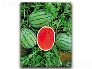 ������616-���ϷN��-����N��