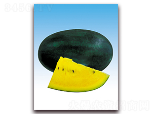 ���Љ�-���ϷN��-����N��