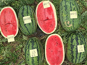 ̩��һ̖-���ϷN��-����N��