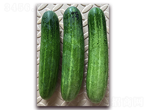 ������-�S�ϷN��-����N��