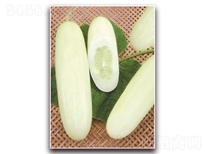 ����һ̖(h��o)-�S�ϷN��-����N��