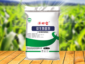 ΢�������-����r(n��ng)�I(y��)