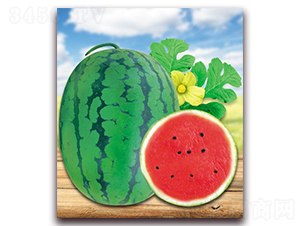 ̩����̖-���ϷN��-����N��