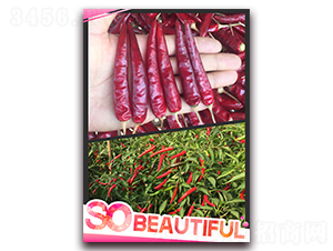 ����ʮ��̖(h��o)-�����N��-����N��