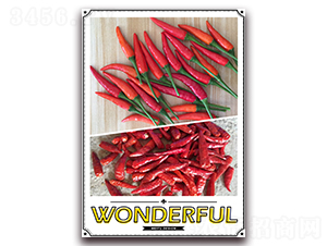 ʢ��88-�����N��-����N��