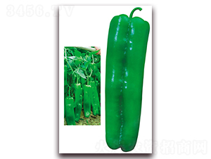 ����999-�����N��-����N��