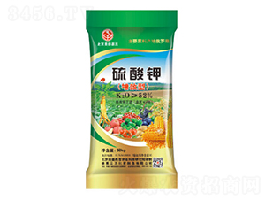 �����-��ʢ�μ�