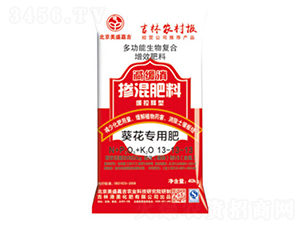 �������÷�-��ʢ�μ�