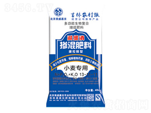 С�����Ó������13-11-11-��ʢ�μ�