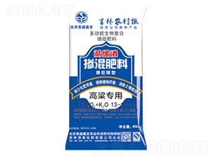 �������Ó������13-11-11-��ʢ�μ�